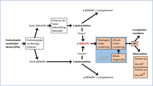 Figur 1: MDT: Multidisciplinær konference, FBT: Fælles beslutningstagning, RF+ og RF-: hhv. med og uden histopatologiske risikofaktorer