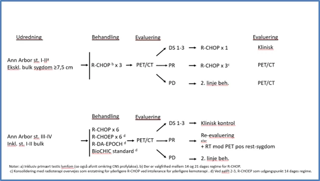 Figur 1: Retningslinje for 1. linje behandling af DLBCL.