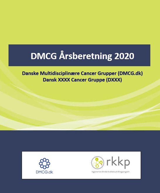 DMCG årsberetningsskabelon_2020_v2.png